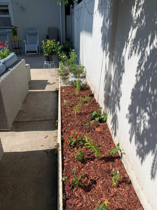 3 Bedroom Duplex W Large Backyard Appartamento